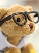 Teddy