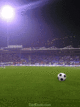 Soccer240x320