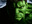 Hulk_800x600