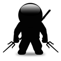 Ninja