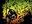 Url