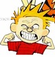 Calvin-and-hobbes-calvin-and-hobbes-6217129-1024-768