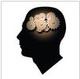 Braingear