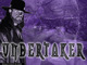 The-taker-undertaker-30986673-1024-768