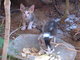 Photo0397_1_
