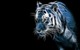 3d_tiger_glowing-