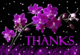 Thanks