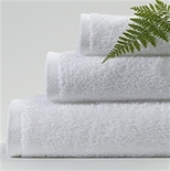  Premium & Soft White Hand Towels Set Of 6
