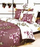 Get Flat 50% Off on Home Furnishing 