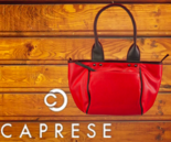 Upto 50% off on Caprese Bags