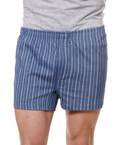 Surfer Blue Striped Boxers 