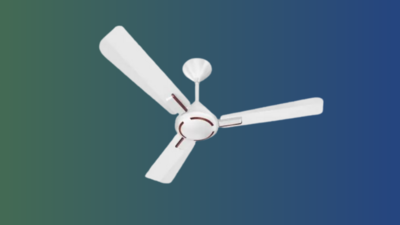 Havells India: 2nd Top Ceiling Fan Brand