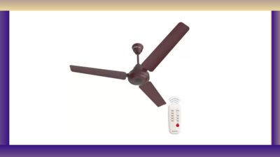 Bajaj Ceiling Fans in India, 5-Year Warranty on Motor