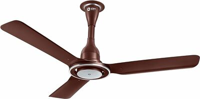 61YPx6biXL.ACUF8941000QL80