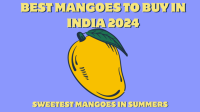 Best Mangoes to Buy in India 2024 (Sweetest Mangoes in Summers)