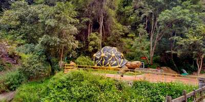 chinnar-wildlife-sanctuary-munnaR-tourism-entry-fee-timings-holidays-reviews-header