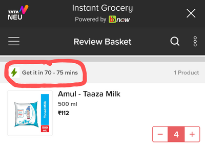 NeuFlash checkout page