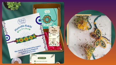 Unique Rakhi Combo Gift for Brothers under Rs.500 (Plantable Rakhi)