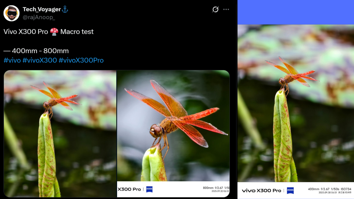 image sample captured on Vivo X300 200MP camera with its image size amounting to 46MB