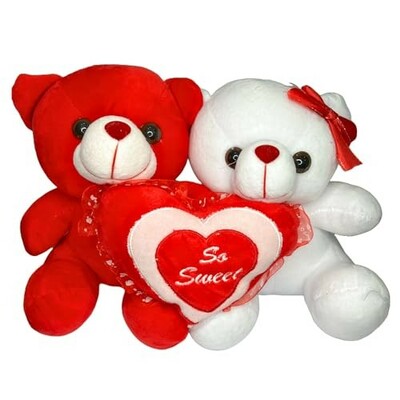 DIKANG Red and White Teddy Bear with Heart for Valentine's Day Gift | Valentine Gift for Boyfriend/Girlfriend/Husband/Wife (25 CM, RED & White)