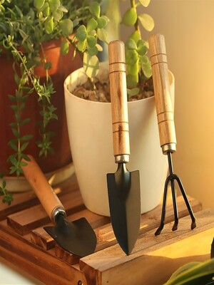 Buy DeoDap Set Of 3 Black Wood Garden Tool Kit - Garden Accessories for Unisex 33795511 | Myntra
