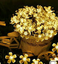 Pepperfry What The Fry Deals : Upto 86% Off on Led Light, Mat & more starting from ₹99