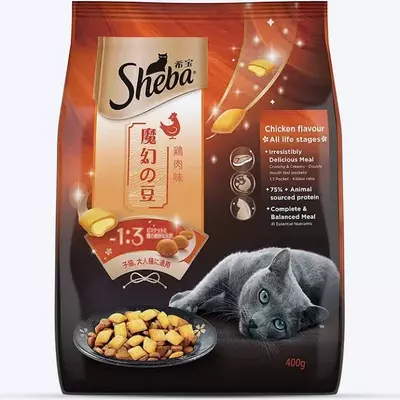 11365039_eae521c4adad_1774265347_9