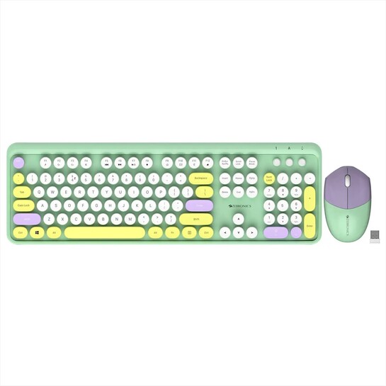 ZEBRONICS Zeb-Companion 301 (Garden) Wireless Standard Desktop