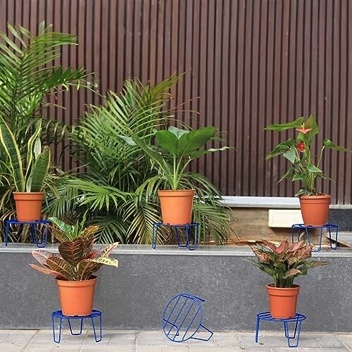 TrustBasket Eclips Plant Stands Blue (Set of 6) | Premium Strong and Durable Flower Pot Stand for Home Garden, Outdoor Balcony Indoor Living Room Decor | Gamla Stand