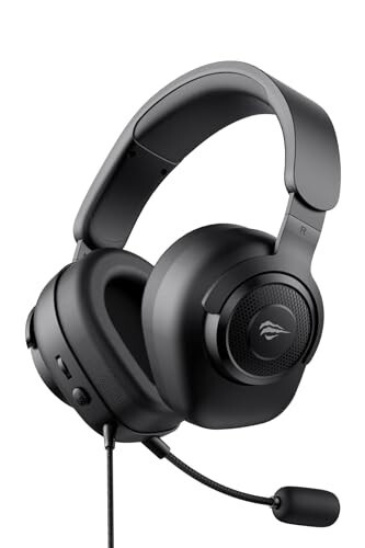 Havit H2230d Headset with Microphone