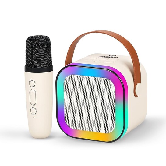 Wembley Rechargeable Karaoke Mic with Speaker for Singing | Wireless Mini Portable Bluetooth Speaker with Microphone & LED Lights 