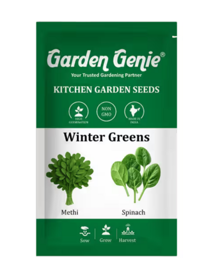 Instamart : Garden Genie Winter Greens Seeds Pack of 2