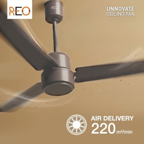 Reo by Havells Unnovate 5 Star  Stone Grey Pack of 1)