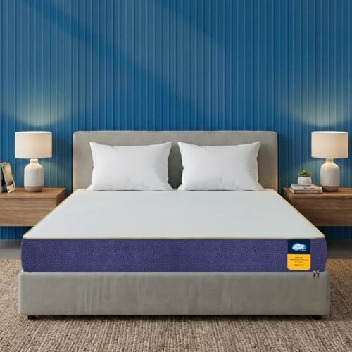 Centuary Mattresses Sleepables 6-Inch King Size Orthopedic Memory Foam Back Support