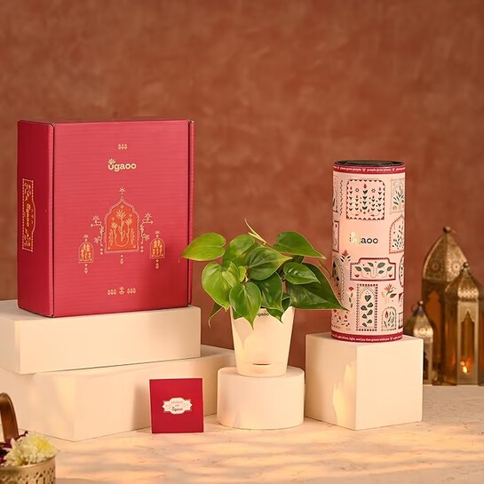 UGAOO Diwali Hamper 5 