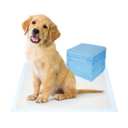 Amazon Basics Dog And Puppy Pee Pads | Pack Of 20 