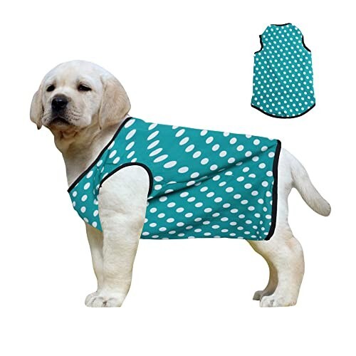 Western Era Funky Soft Cotton Dog T-Shirt (Polka Sky Blue) (Small - 14inches)