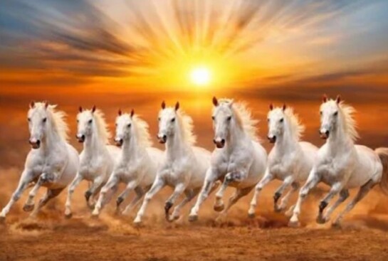 Seven White Horses Running Vastu Vinyl Sticker, 13x19 inch