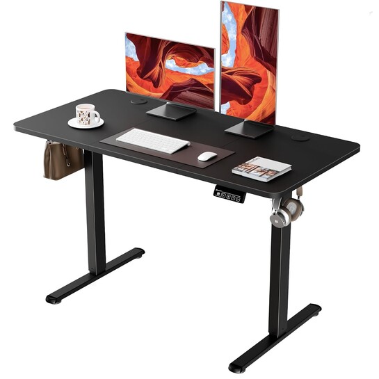 ERGOMAKER Electric Standing Desk 120x60cm (47.2"x23.6")