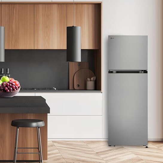 LG 251 L, 1 Star, Frost-Free Smart Inverter Double Door Refrigerator with Smart Mode 2026 Model