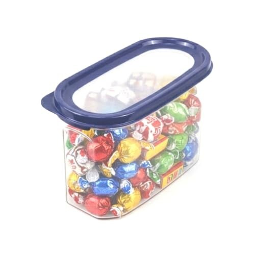 Signoraware Modular Oval Transparent No.2 Plastic Container (1.3 Ltr,Mblue) [37% Coupon]