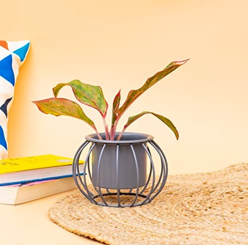 KYARI Victoria Metal Pots For Indoor Plants With Drainage Hole 