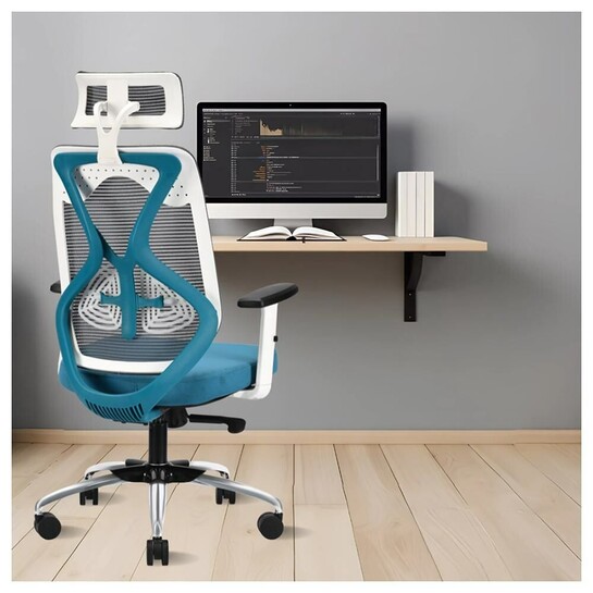 IAFA FURNITURE Ergolux High Back Ergonomic Office & Study Chair