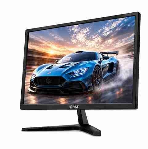EVM Grand 46.99 cm (19 inch) Monitor