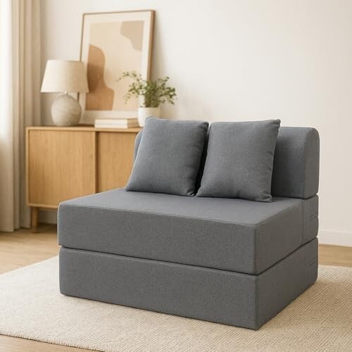 Amazon Brand - Solimo 2 Seater Sofa Cum Bed 6x3 Feet with 2 Cushions, 