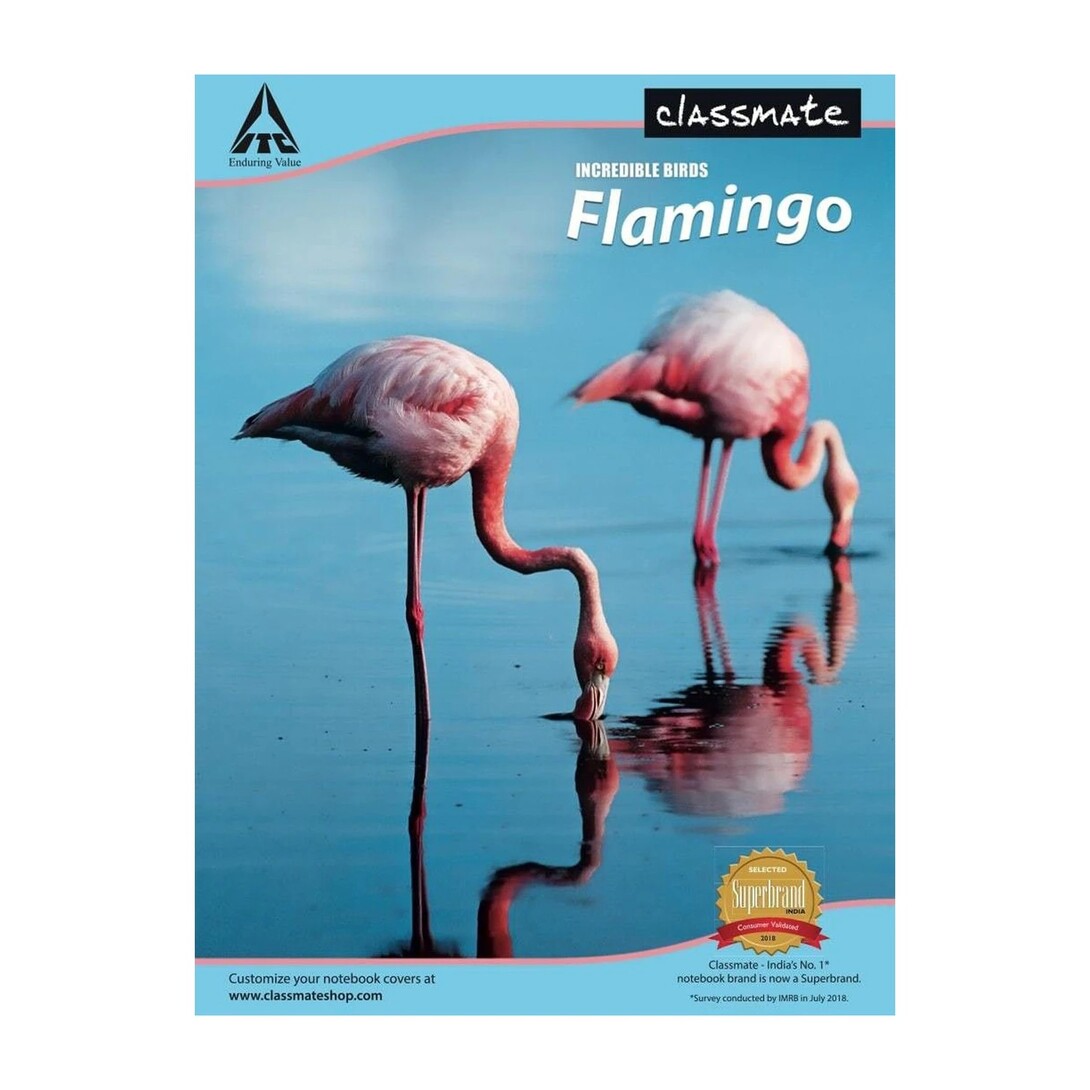 Classmate Longbook A4 Notebook Single Line 240 Pages (Multicolor,...more