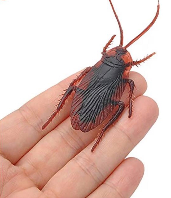 Rock World Cockroaches Prank Life Like April Fool Toy Fake Cockroach Prank
