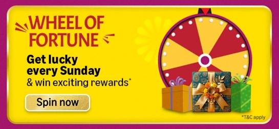 Amazon FunZone Wheel of Fortune - Spin and Win