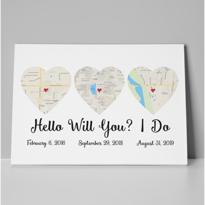 Maps of Life