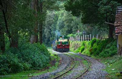 Ooty and Coonoor, Tamil Nadu